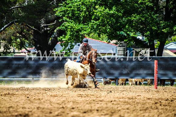 OrangeCampdraft2017_4825
