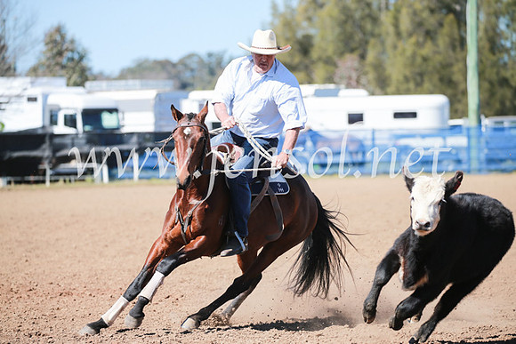 CCCampdraft2016_5703