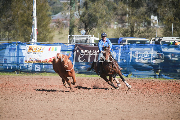CCCampdraft2016_6109