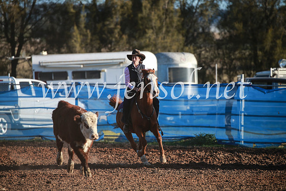 CCCampdraft2016_6689