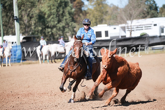 CCCampdraft2016_6094