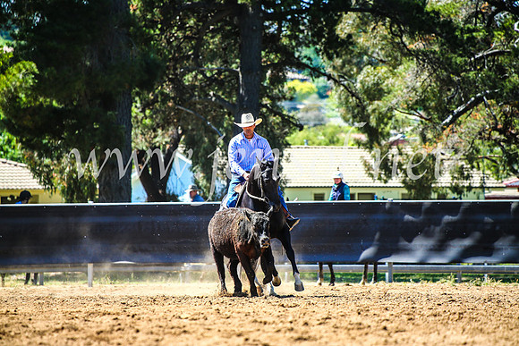 OrangeCampdraft2017_4538