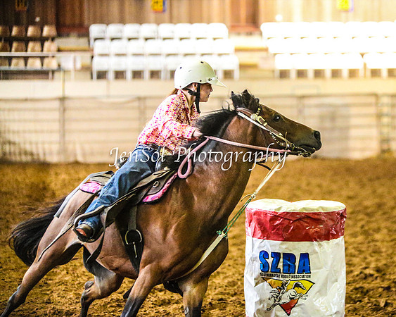 RealDealRodeoFeb2014_0064
