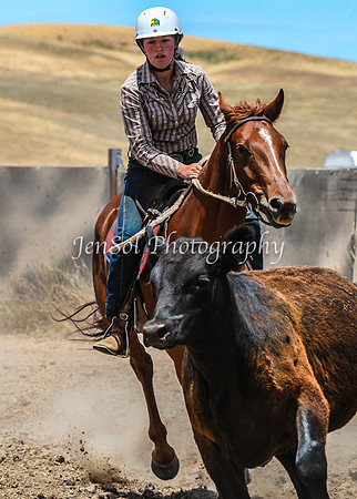AdaminabyCampdraftSun2015_3195