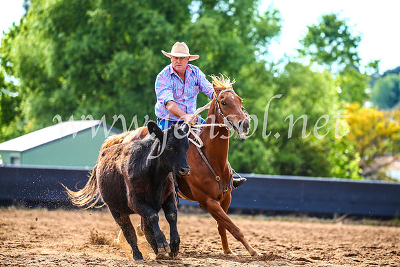 OrangeCampdraft2017_3905