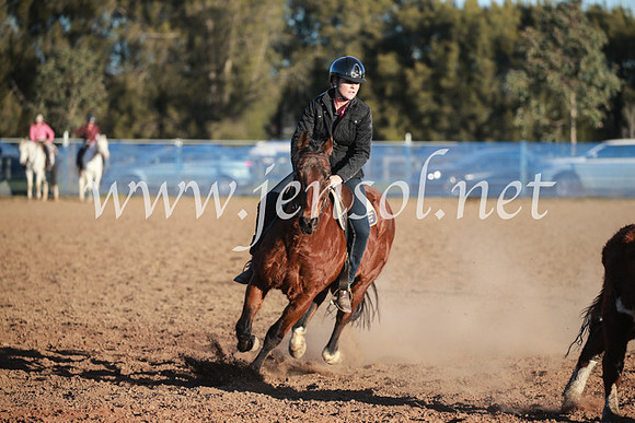 CCCampdraft2016_6778