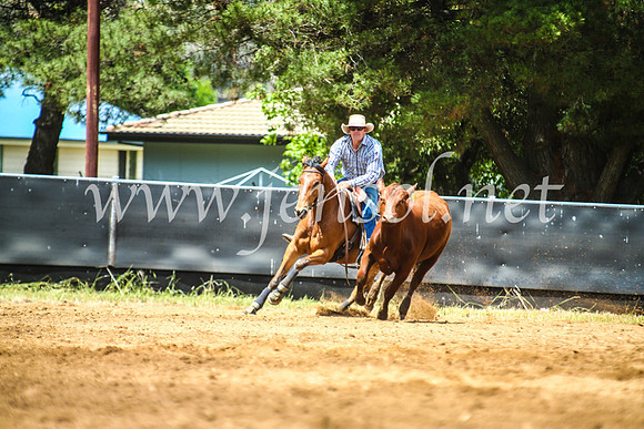 OrangeCampdraft2017_5559
