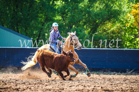 OrangeCampdraft2017_4192