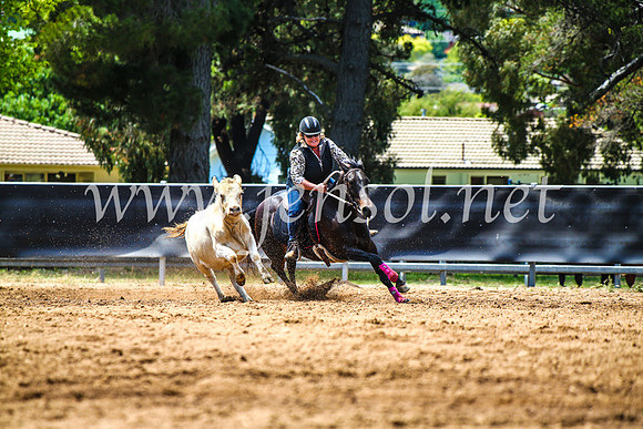 OrangeCampdraft2017_4649