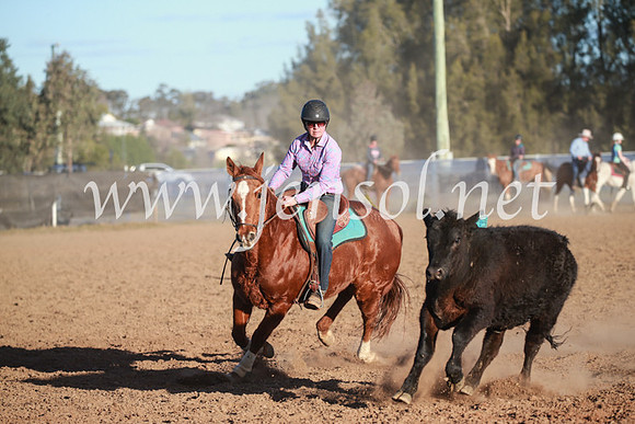 CCCampdraft2016_6796