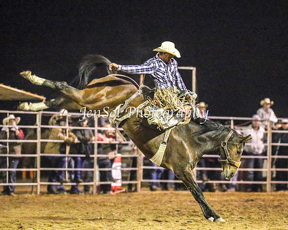 TumutRodeo2014_5071