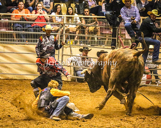 RealDealRodeoFeb2014_2188