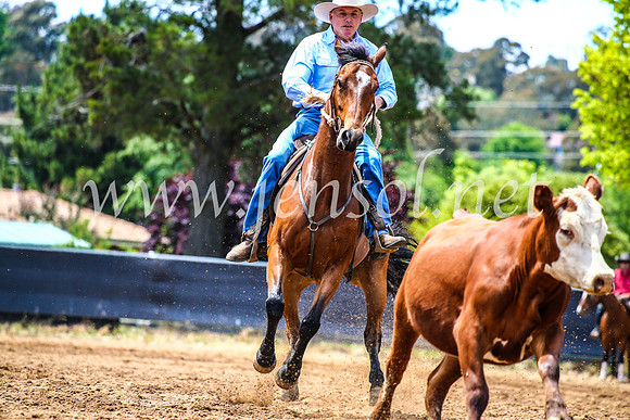 OrangeCampdraft2017_4755