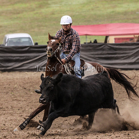 IMG_0046CabFri