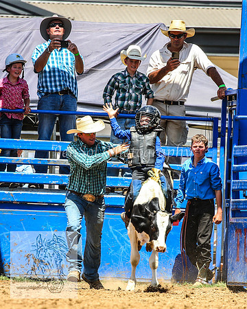 TumbarumbaRodeoNYD2025_0491