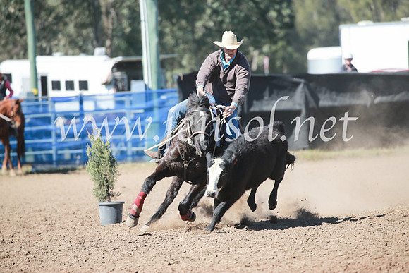 CCCampdraft2016_5712