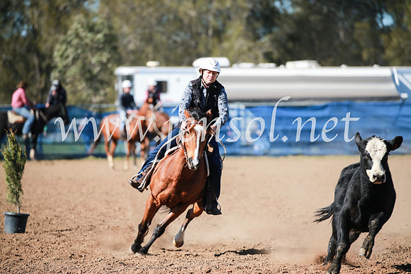 CCCampdraft2016_5285