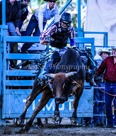 Tumut3_0014