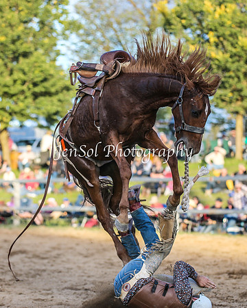 TumutRodeo2014_3810