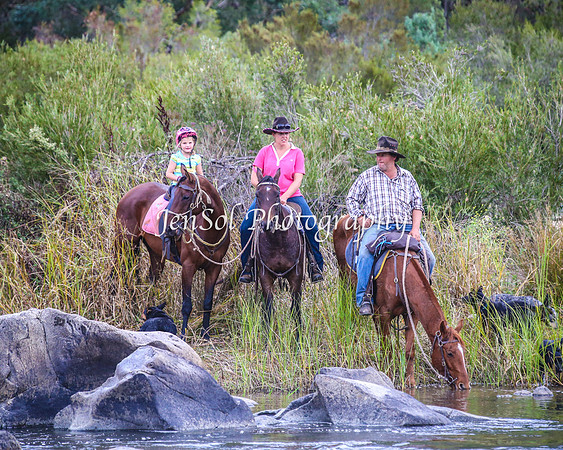 CabanandraCampdraft2014_2561-1