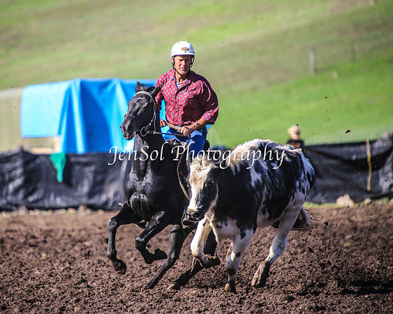 CabanandraCampdraft2014_1058