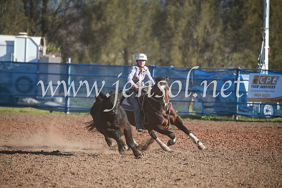 CCCampdraft2016_6311