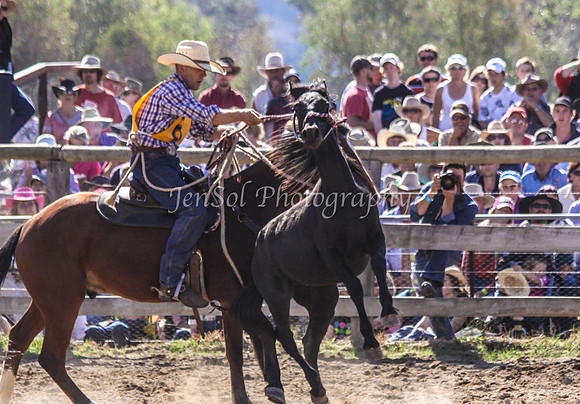 Corryong09 260