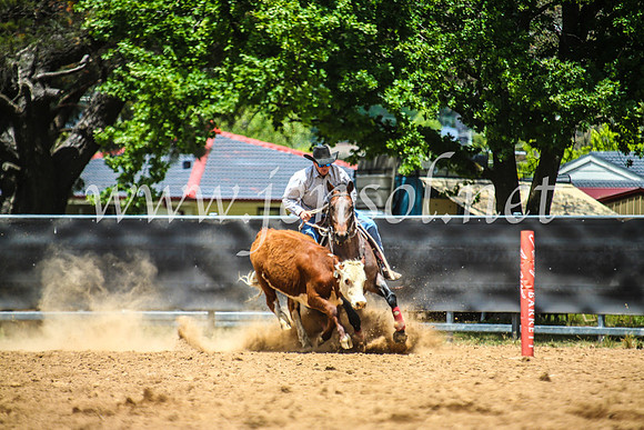 OrangeCampdraft2017_5258