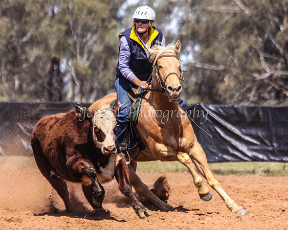 Wwyalong0617