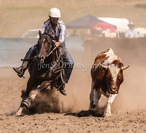 IMG_0492CabSat