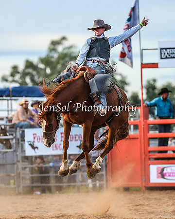 ForbesRodeo2014_2598