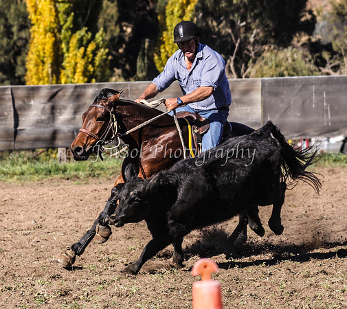 IMG_0357Jugiong1