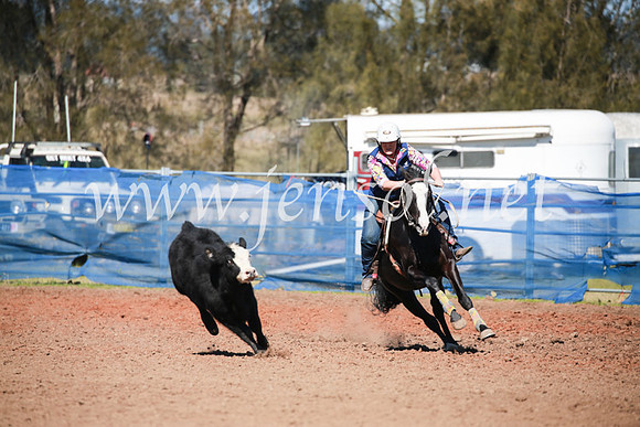 CCCampdraft2016_5412