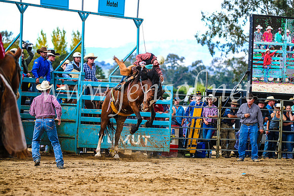 TumutRodeo2017_1495