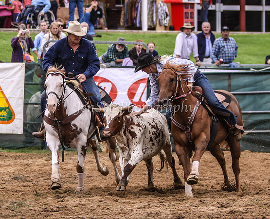 Cooma1_0203