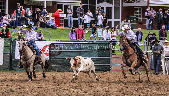 Cooma1_0569