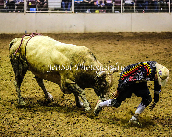 RealDealRodeoFeb2014_1639