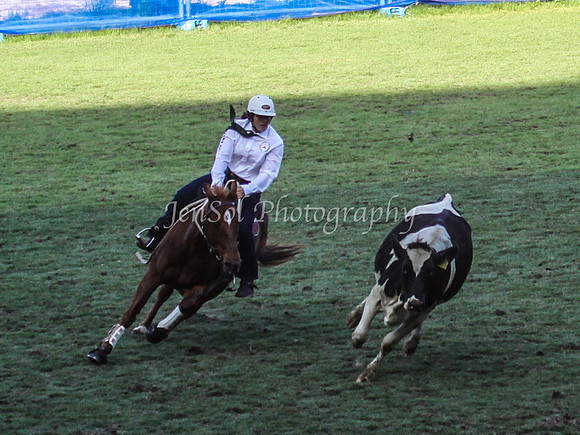 EquitanaSat_1060