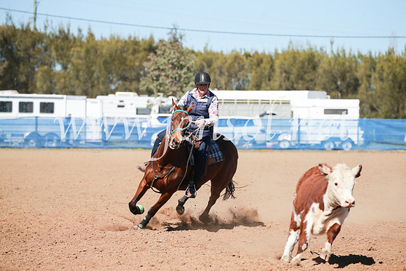 CCCampdraft2016_5795