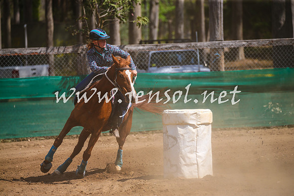 CooranbongSunTwo_3588