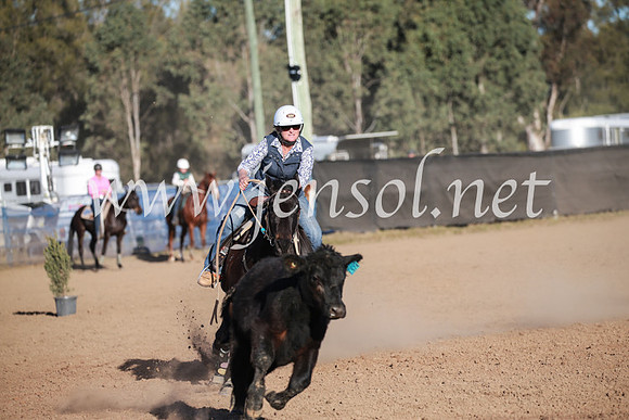 CCCampdraft2016_6631