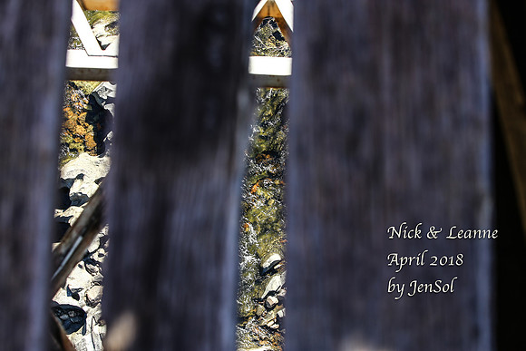 NickandLeanne2018_0140