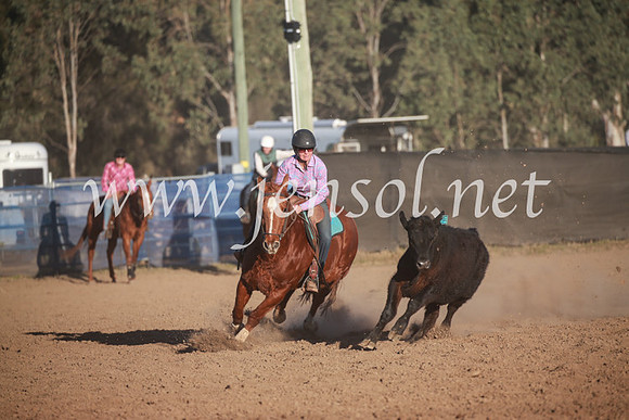 CCCampdraft2016_6817
