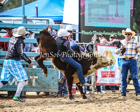 TumutRodeo2014_1145