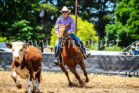 OrangeCampdraft2017_4839