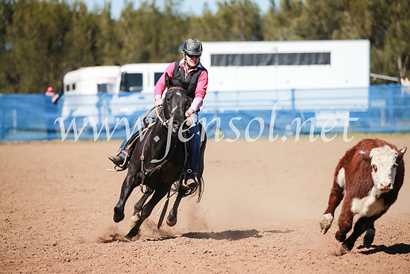 CCCampdraft2016_5591