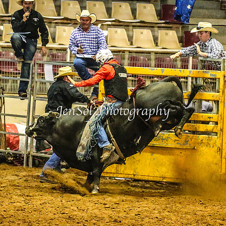 RealDealRodeoFeb2014_0538