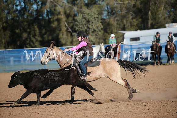 CCCampdraft2016_6494