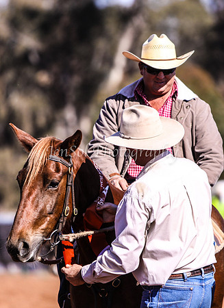 Wwyalong0218