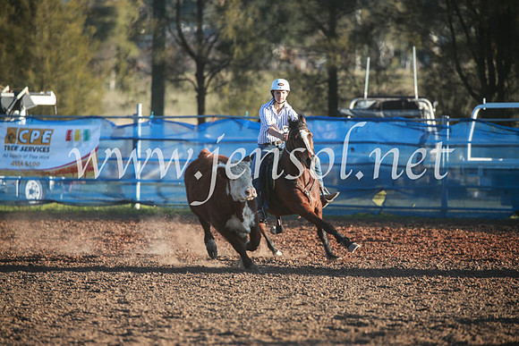CCCampdraft2016_6822